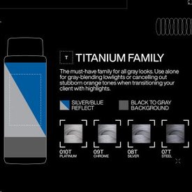 02 - Redken-2023-SEQBI-Silver-Strong-Social-Infographic-Silver-Gray-Availability-Titanium